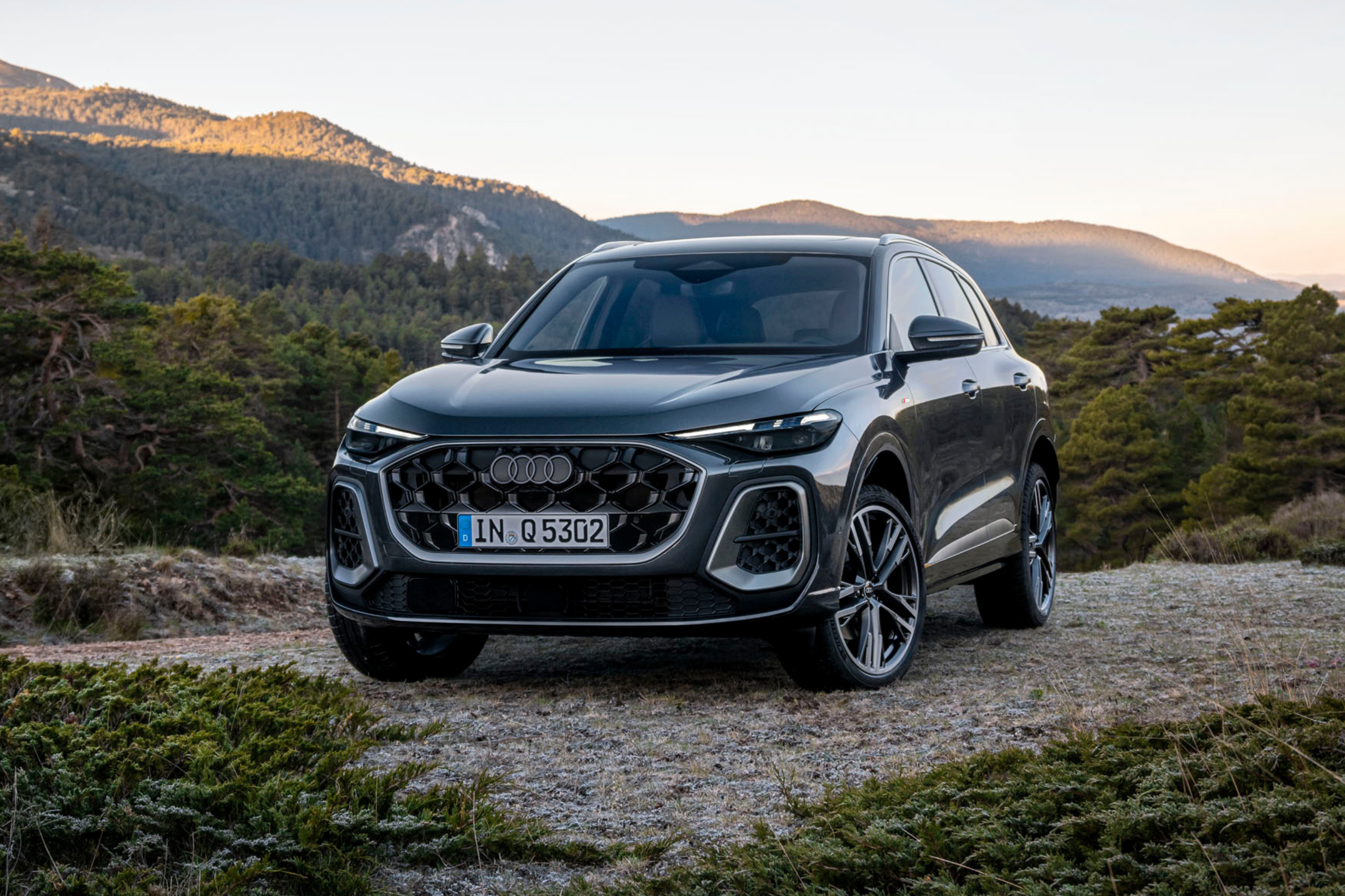 Nowe Audi Q5 przyciąga spojrzenie.